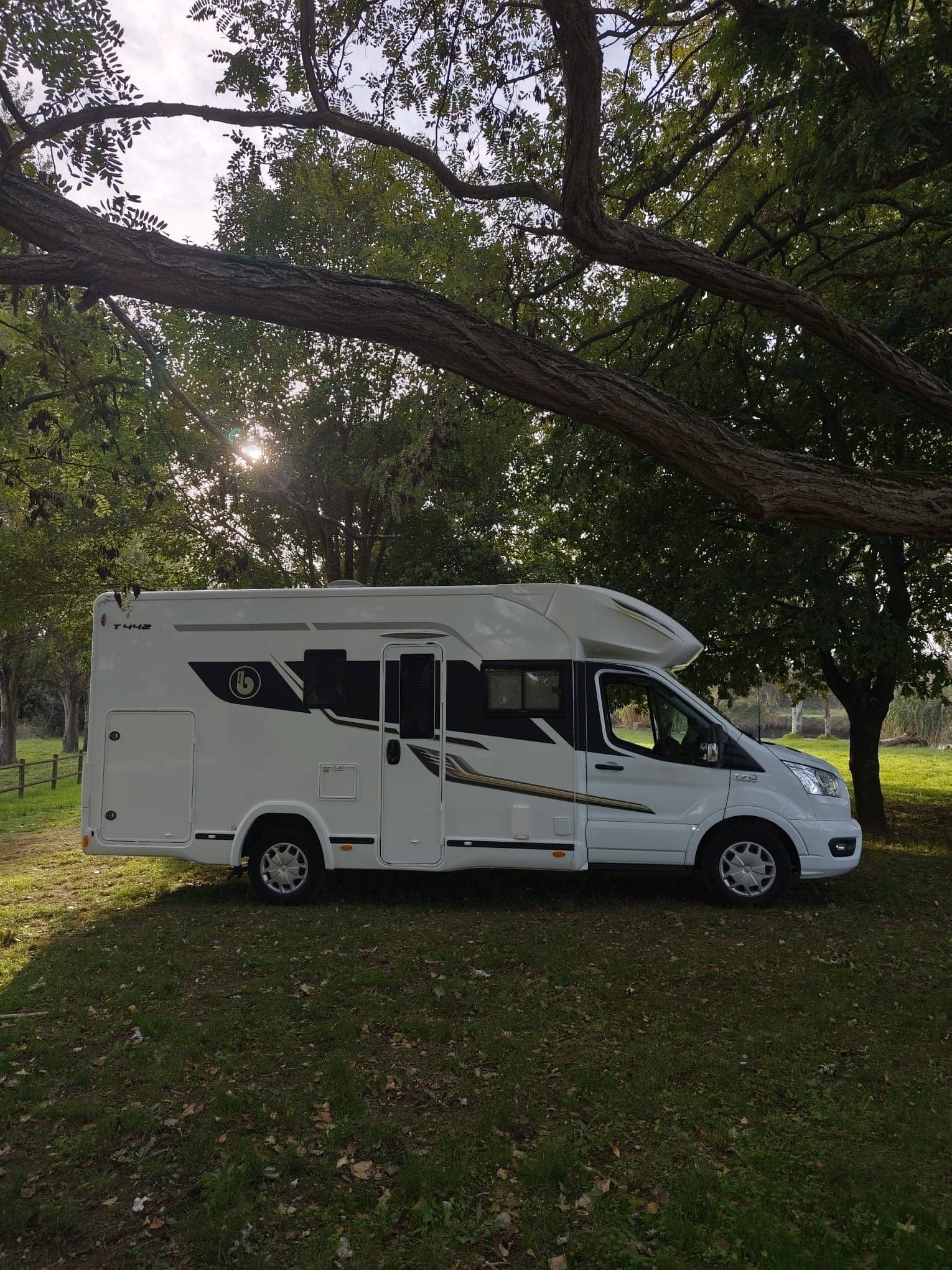 Benimar Tessoro 442 del 2024